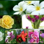 Hướng dẫn thủ tục thành lập doanh nghiệp tại Quận Bình Tân 10 Cần thành lập doanh nghiệp tại Quận Bình Tân