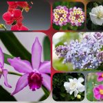 Hướng dẫn thủ tục thành lập doanh nghiệp tại Thái Bình 6 Cần thành lập doanh nghiệp tại Thái Bình