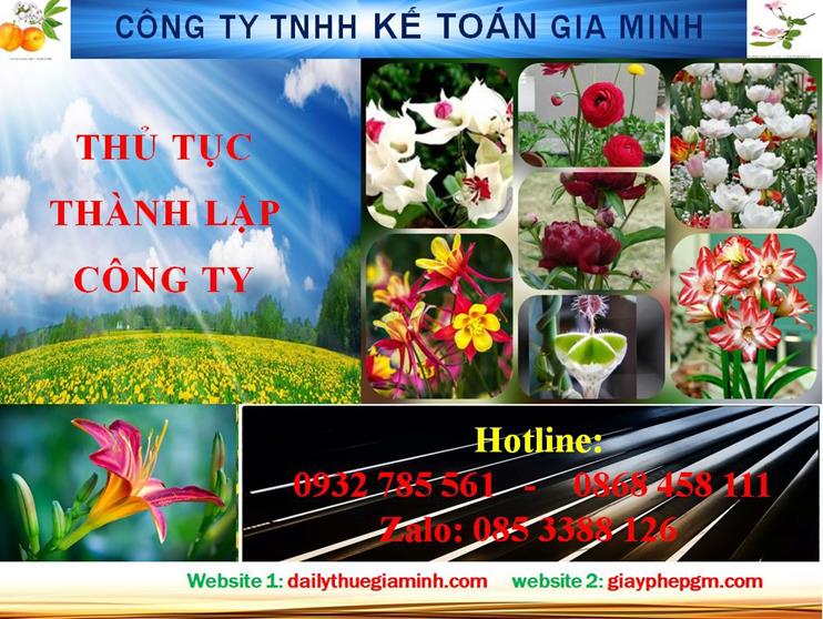 Hướng dẫn thủ tục thành lập doanh nghiệp tại Thái Bình 4 Thủ tục thành lập doanh nghiệp tại Thái Bình