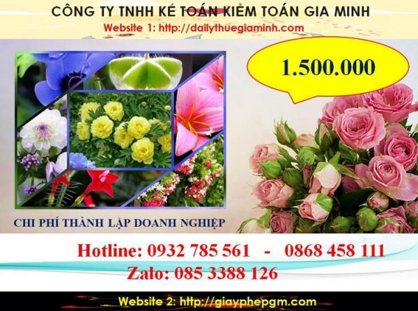 Hướng dẫn thủ tục thành lập doanh nghiệp tại Thành phố Hồ Chí Minh 5 Chi phí thành lập doanh nghiệp tại Thành phố Hồ Chí Minh