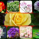 Hướng dẫn thủ tục thành lập doanh nghiệp tại Thành phố Hồ Chí Minh 6 Cần thành lập doanh nghiệp tại Thành phố Hồ Chí Minh