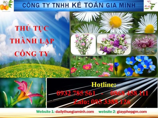 Hướng dẫn thủ tục thành lập doanh nghiệp tại Thành phố Hồ Chí Minh 4 Thủ tục thành lập doanh nghiệp tại Thành phố Hồ Chí Minh