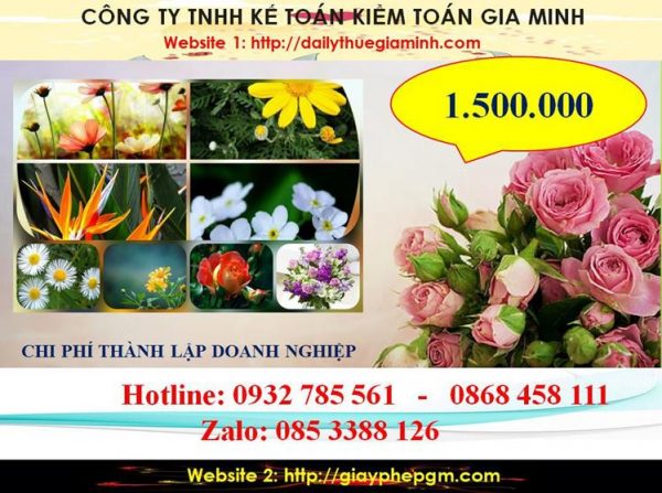 Chi phí thành lập doanh nghiệp tại Thành phố Thủ Dầu Một