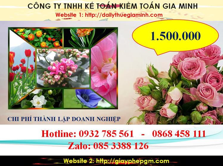 Hướng dẫn thủ tục thành lập doanh nghiệp tại TP Hồ Chí Minh 5 Chi phí thành lập doanh nghiệp tại TP Hồ Chí Minh