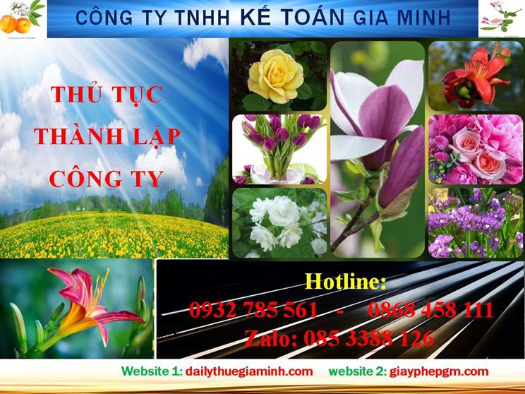 Hướng dẫn thủ tục thành lập doanh nghiệp tại TP Hồ Chí Minh 4 Thủ tục thành lập doanh nghiệp tại TP Hồ Chí Minh