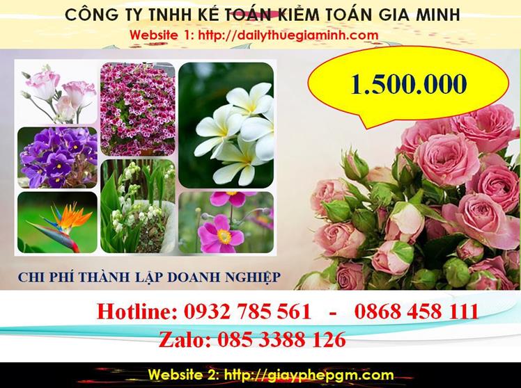 Hướng dẫn thủ tục thành lập doanh nghiệp tại TPHCM 5 Chi phí thành lập doanh nghiệp tại TPHCM