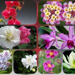 Hướng dẫn thủ tục thành lập doanh nghiệp tại TPHCM 6 Cần thành lập doanh nghiệp tại TPHCM