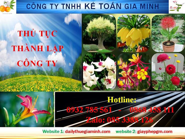 Hướng dẫn thủ tục thành lập doanh nghiệp tại TPHCM 4 Thủ tục thành lập doanh nghiệp tại TPHCM