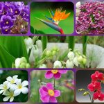 Hướng dẫn thủ tục thành lập doanh nghiệp tại Yên Bái 6 Cần thành lập doanh nghiệp tại Yên Bái