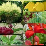 Hướng dẫn thủ tục xin giấy phép mở nhà thuốc quầy thuốc