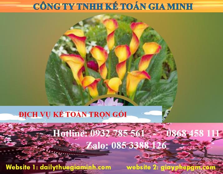 Dịch vụ kế toán trọn gói Bắc Giang 4 Dịch vụ kế toán trọn gói Bắc Giang