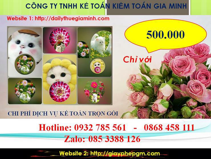 Dịch vụ kế toán trọn gói Bắc Giang 5 Chi phí kế toán trọn gói tại Bắc Giang
