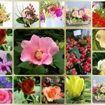 Dịch vụ kế toán trọn gói Bắc Giang 6 Cần dịch vụ kế toán trọn gói Bắc Giang