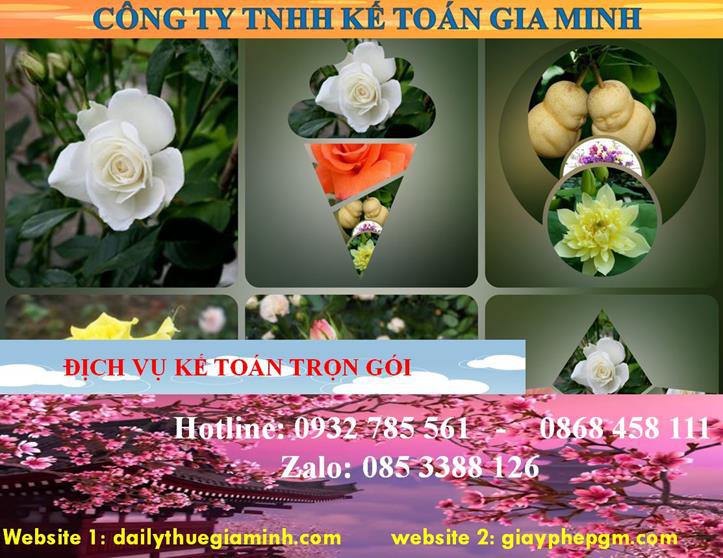 Dịch vụ kế toán trọn gói Bắc Kạn 4 Dịch vụ kế toán trọn gói Bắc Kạn