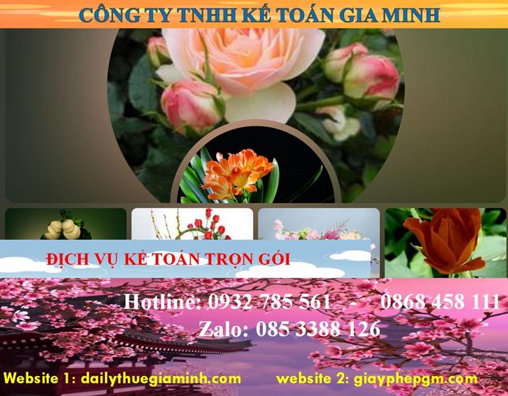 Dịch vụ kế toán trọn gói Đà Nẵng – Giải pháp tối ưu cho doanh nghiệp 4 Dịch vụ kế toán trọn gói Đà Nẵng