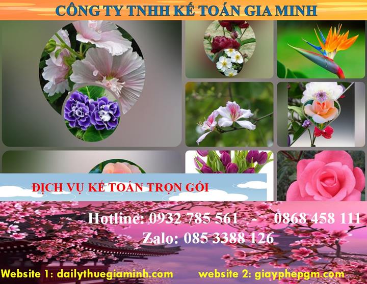Dịch vụ kế toán trọn gói Điện Biên
