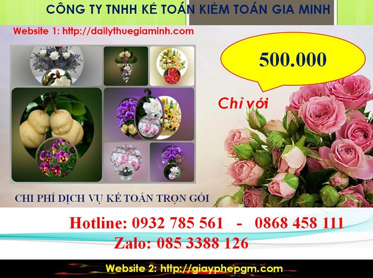 Chi phí kế toán trọn gói tại Điện Biên