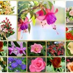 Cần dịch vụ kế toán trọn gói Điện Biên