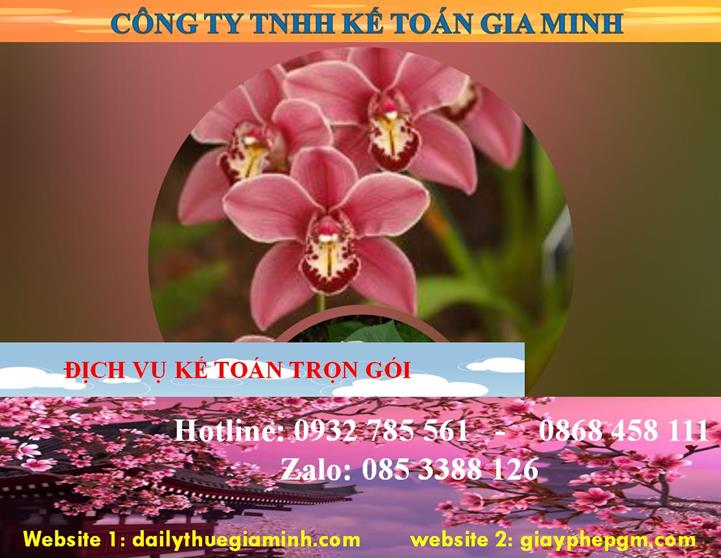 Dịch vụ kế toán trọn gói Hà Nam 4 Dịch vụ kế toán trọn gói Hà Nam