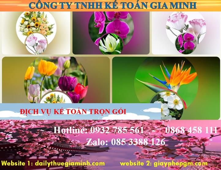 Dịch vụ kế toán trọn gói Hà Nội 4 Dịch vụ kế toán trọn gói Hà Nội