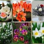 Dịch vụ kế toán trọn gói Hà Nội 6 Cần dịch vụ kế toán trọn gói Hà Nội