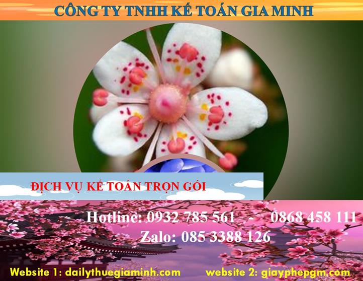 Dịch vụ kế toán trọn gói Hòa Bình 4 Dịch vụ kế toán trọn gói Hòa Bình