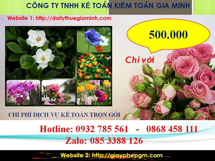 Dịch vụ kế toán trọn gói Hòa Bình 5 Chi phí kế toán trọn gói tại Hòa Bình