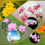 Dịch vụ kế toán trọn gói Hòa Bình 6 Cần dịch vụ kế toán trọn gói Hòa Bình