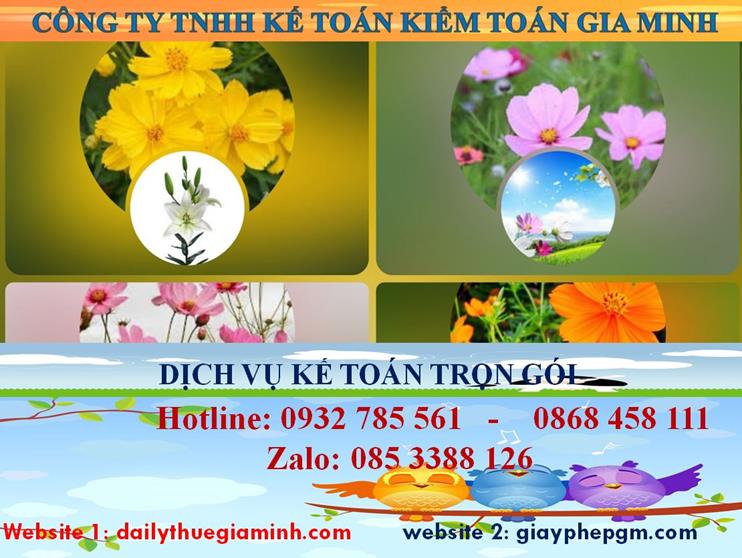 Dịch vụ kế toán trọn gói Huyện Củ Chi 4 Dịch vụ kế toán trọn gói Huyện Củ Chi