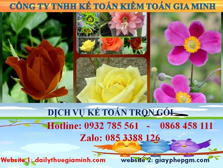 Dịch vụ kế toán trọn gói Huyện Nhà Bè 4 Dịch vụ kế toán trọn gói Huyện Nhà Bè