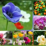 Dịch vụ kế toán trọn gói Huyện Nhà Bè 6 Cần dịch vụ kế toán trọn gói Huyện Nhà Bè
