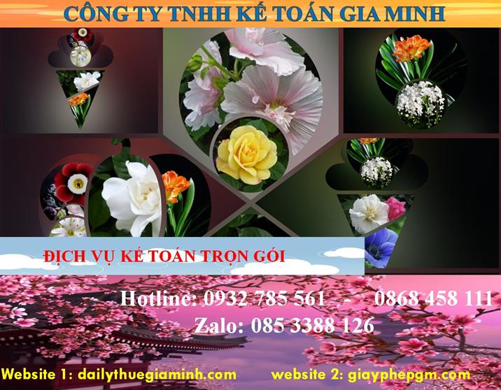 Dịch vụ kế toán trọn gói Huyện Thường Tín 4 Dịch vụ kế toán trọn gói Huyện Thường Tín