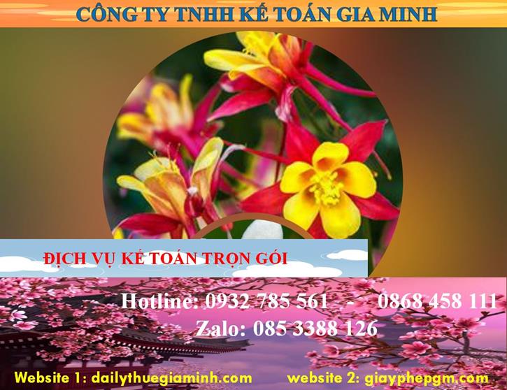 Dịch vụ kế toán trọn gói Kiên Giang 4 Dịch vụ kế toán trọn gói Kiên Giang