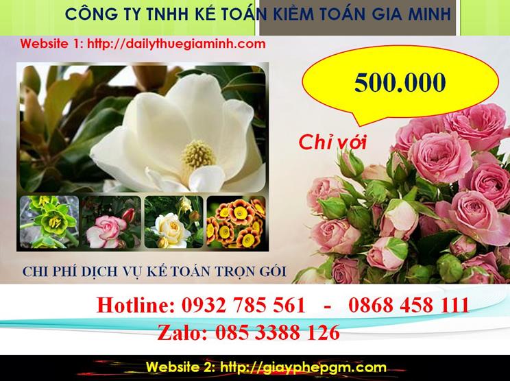 Dịch vụ kế toán trọn gói Kiên Giang 5 Chi phí kế toán trọn gói tại Kiên Giang
