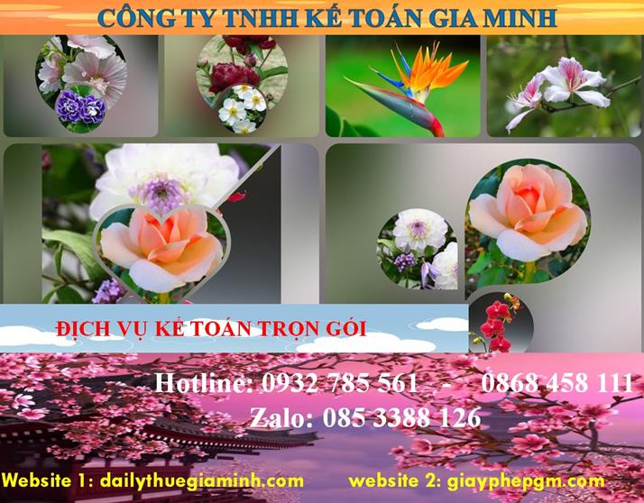 Dịch vụ kế toán trọn gói Lai Châu 4 Dịch vụ kế toán trọn gói Lai Châu