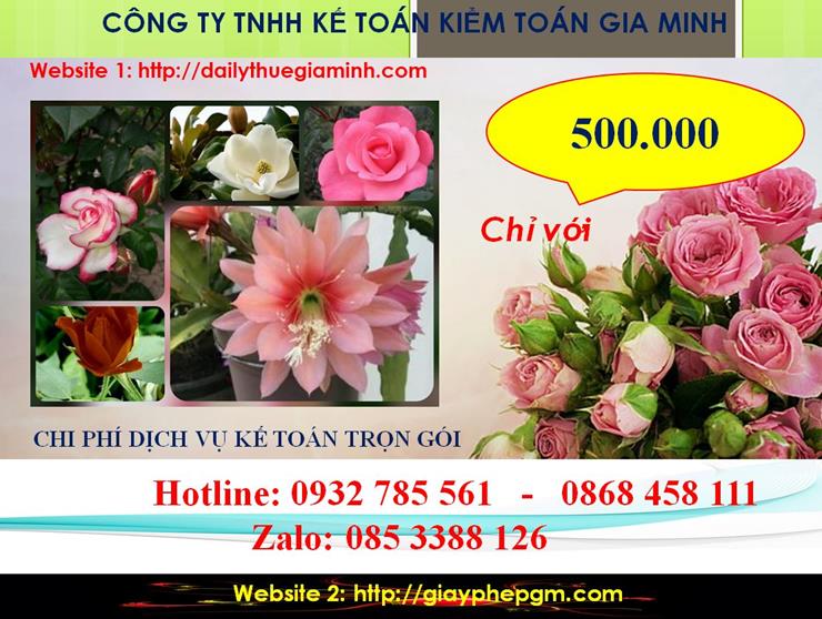 Dịch vụ kế toán trọn gói Lai Châu 5 Chi phí kế toán trọn gói tại Lai Châu