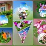 Dịch vụ kế toán trọn gói Lạng Sơn 6 Cần dịch vụ kế toán trọn gói Lạng Sơn