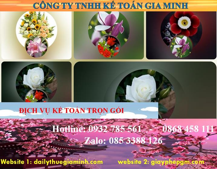 Dịch vụ kế toán trọn gói Lào Cai 4 Dịch vụ kế toán trọn gói Lào Cai