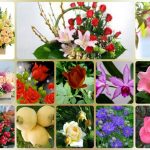Dịch vụ kế toán trọn gói Lào Cai 6 Cần dịch vụ kế toán trọn gói Lào Cai