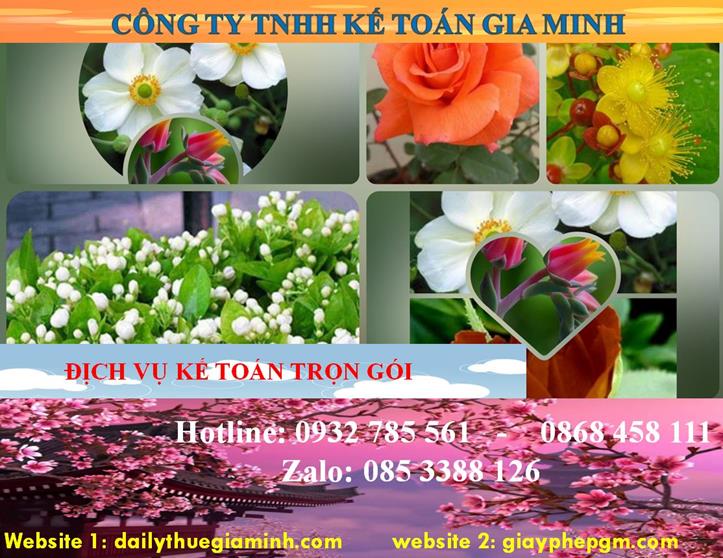 Dịch vụ kế toán trọn gói Nam Định 4 Dịch vụ kế toán trọn gói Nam Định