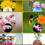 Dịch vụ kế toán trọn gói Nam Định 6 Cần dịch vụ kế toán trọn gói Nam Định