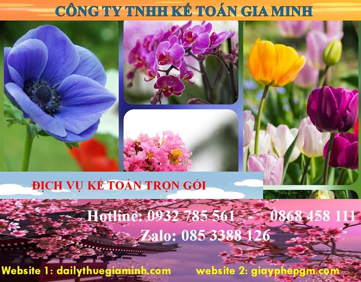 Dịch vụ kế toán trọn gói Ninh Bình 4 Dịch vụ kế toán trọn gói Ninh Bình