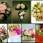 Dịch vụ kế toán trọn gói Ninh Bình 6 Cần dịch vụ kế toán trọn gói Ninh Bình