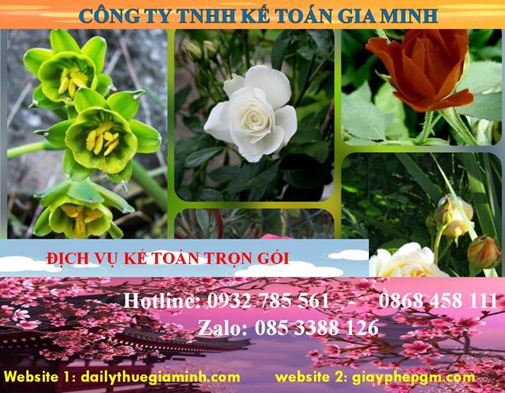 Dịch vụ kế toán trọn gói Ninh Thuận 4 Dịch vụ kế toán trọn gói Ninh Thuận