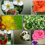 Dịch vụ kế toán trọn gói Ninh Thuận 6 Cần dịch vụ kế toán trọn gói Ninh Thuận