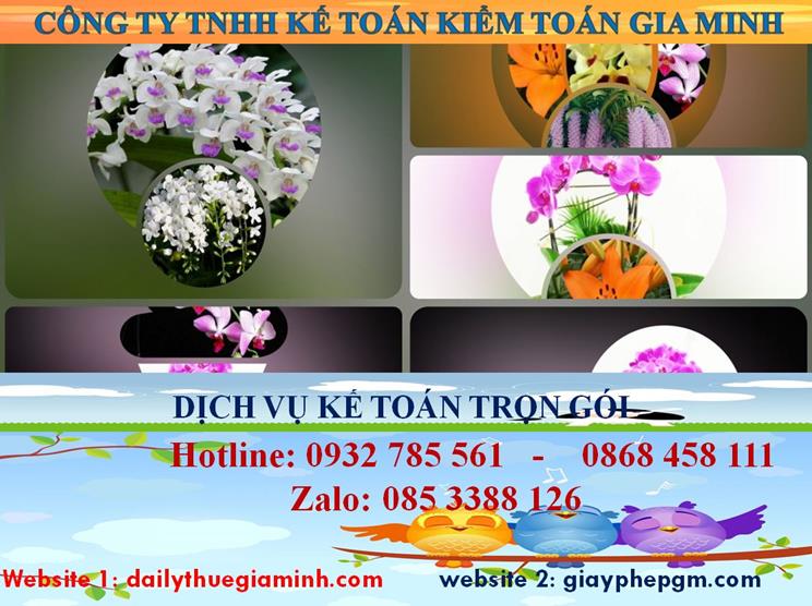 Dịch vụ kế toán trọn gói Quận 10 4 Dịch vụ kế toán trọn gói Quận 10