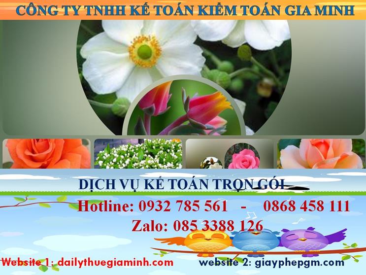 Dịch vụ kế toán trọn gói Quận 11 4 Dịch vụ kế toán trọn gói Quận 11