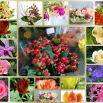Dịch vụ kế toán trọn gói Quận 2 6 Cần dịch vụ kế toán trọn gói Quận 2