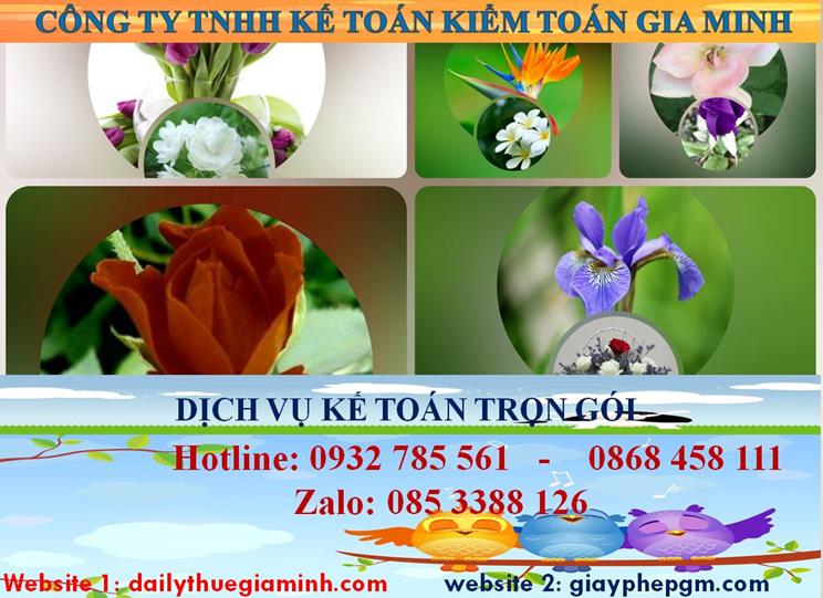 Dịch vụ kế toán trọn gói Quận 2 4 Dịch vụ kế toán trọn gói Quận 2