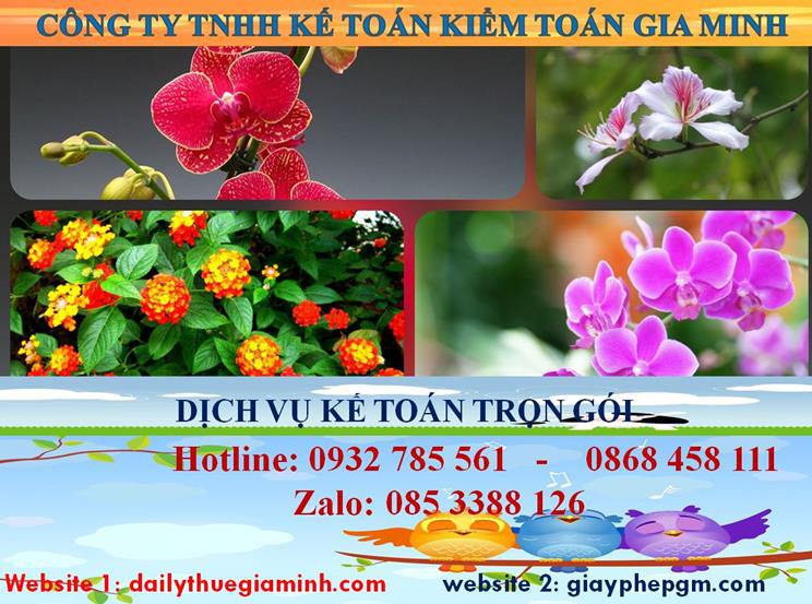 Dịch vụ kế toán trọn gói Quận 3 4 Dịch vụ kế toán trọn gói Quận 3